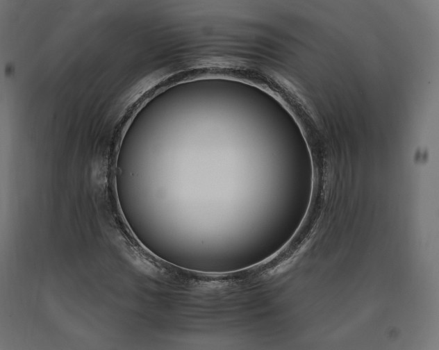 X0000091011017200708021544