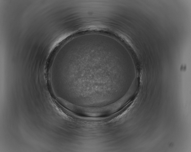 X0000091011018200708021544