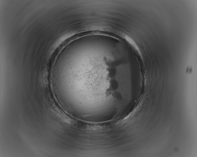 X0000091011019200708021544