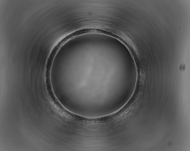 X0000091011020200708021544