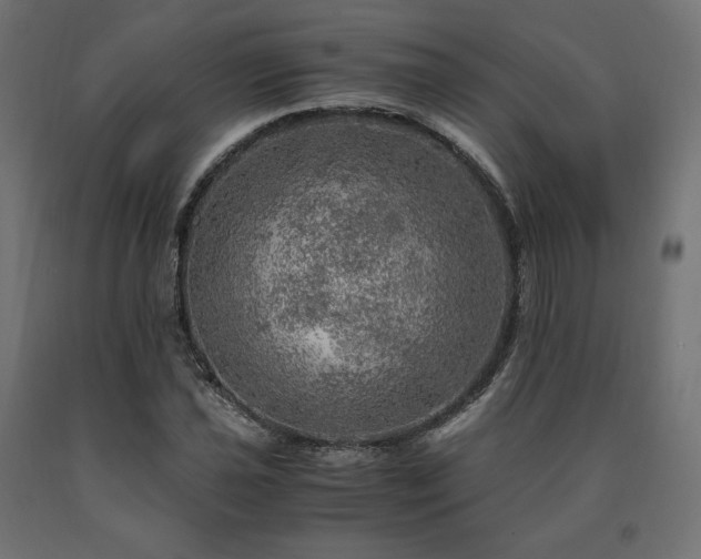 X0000091011021200708021544