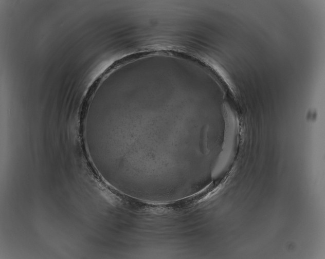 X0000091011023200708021544