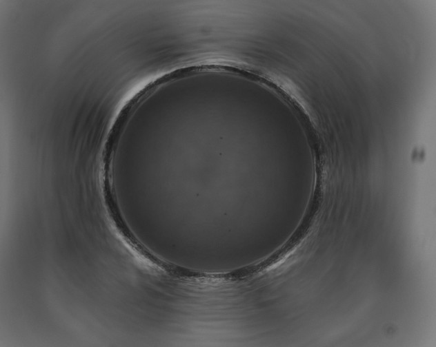 X0000091011024200708021544