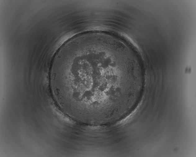 X0000091011025200708021544