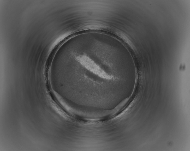 X0000091011026200708021544