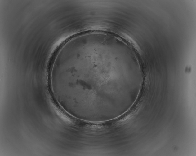 X0000091011027200708021544