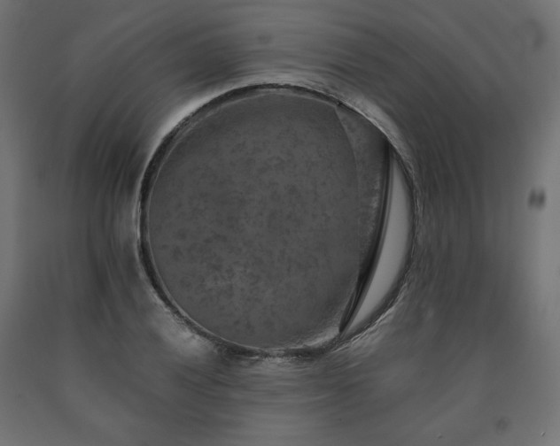 X0000091011028200708021544
