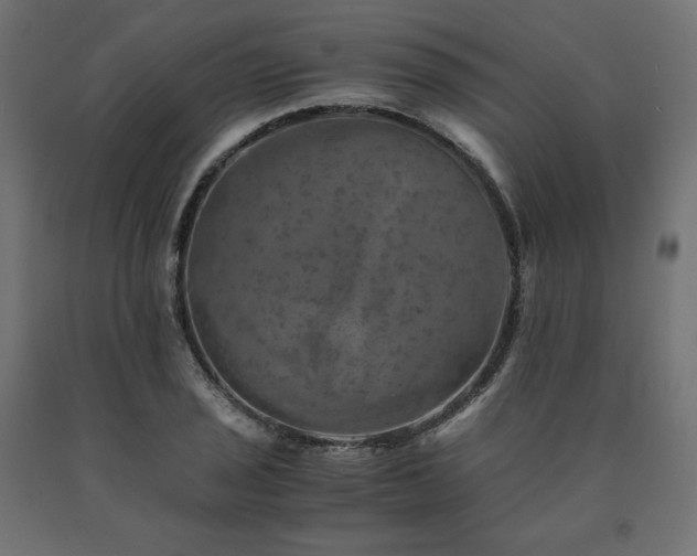 X0000091011029200708021544