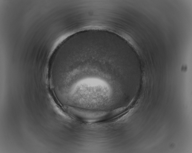 X0000091011030200708021544
