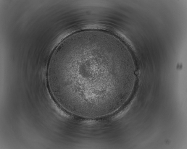 X0000091011033200708021544