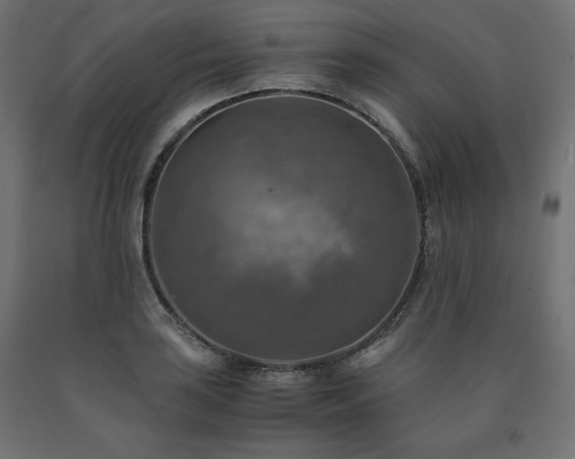 X0000091011035200708021544