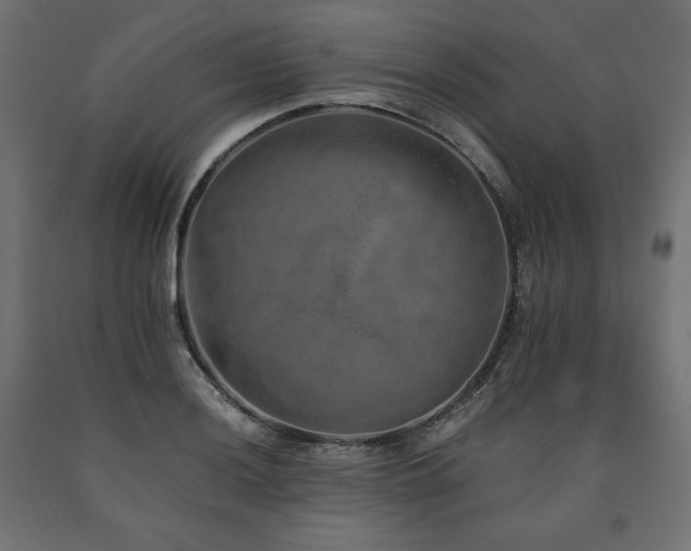 X0000091011036200708021544