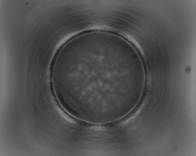 X0000091011037200708021544