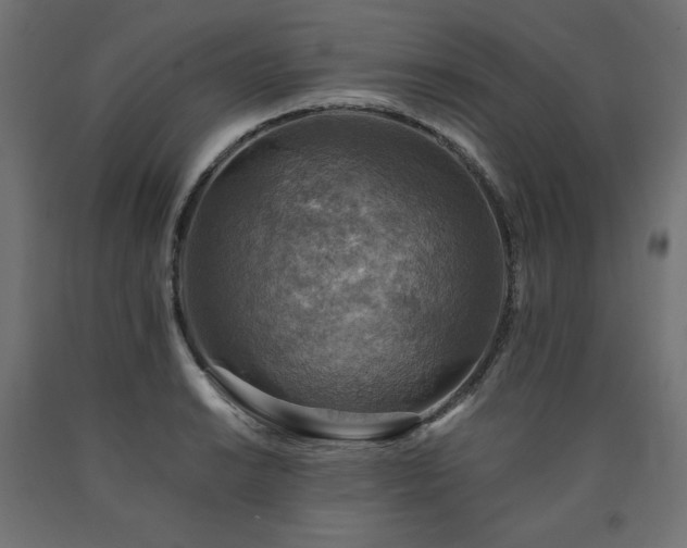 X0000091011038200708021544