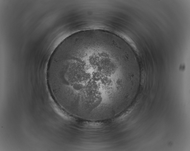 X0000091011039200708021544