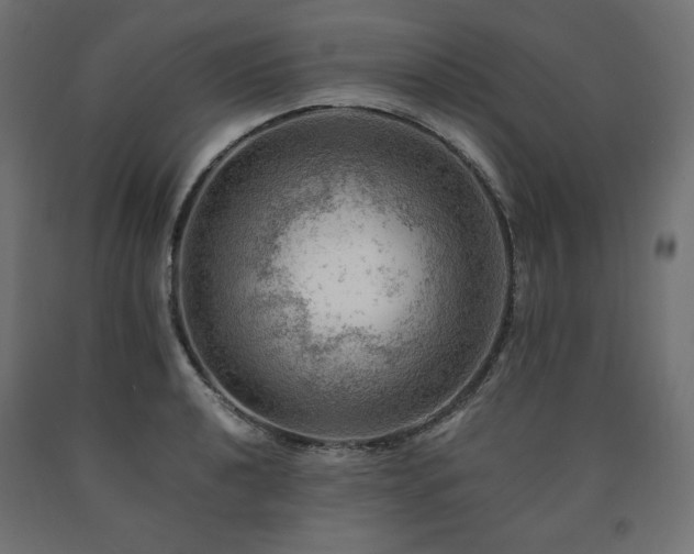 X0000091011040200708021544