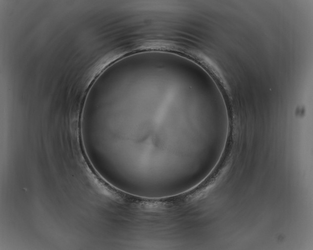 X0000091011041200708021544