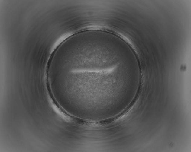 X0000091011042200708021544
