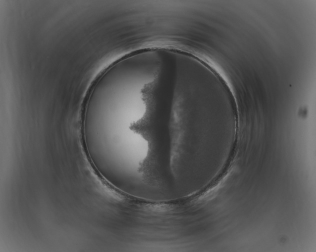 X0000091011045200708021544
