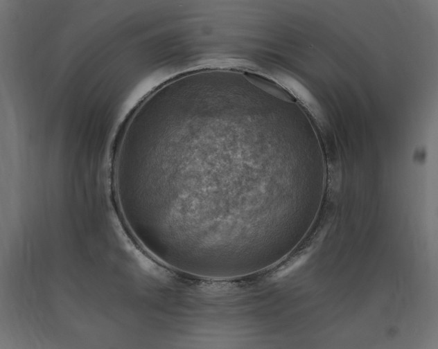 X0000091011046200708021544