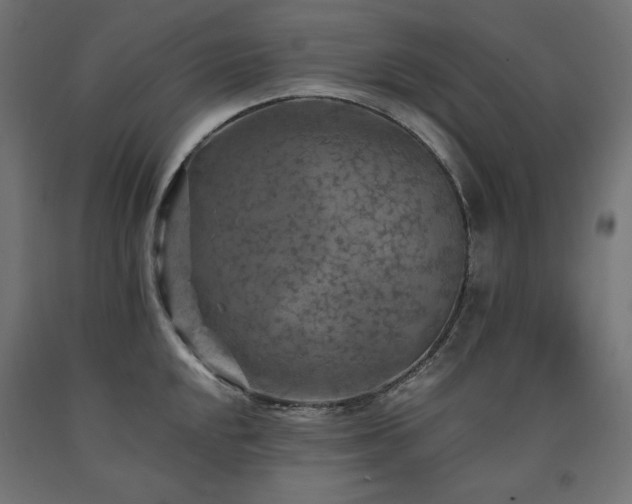 X0000091011048200708021544
