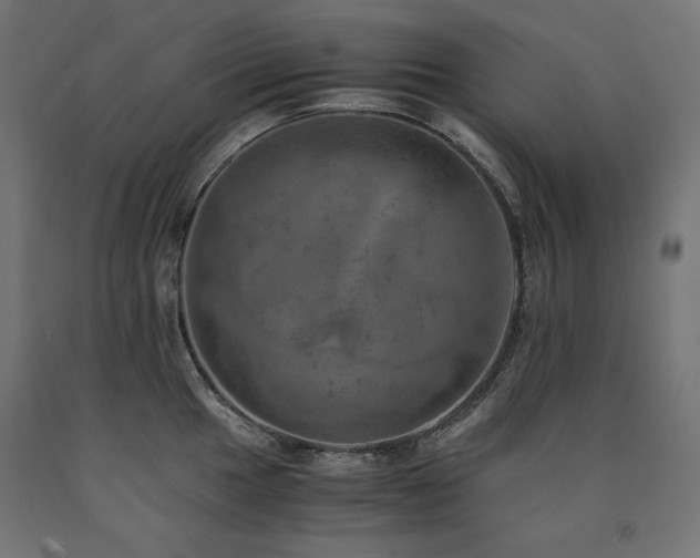 X0000091011049200708021544