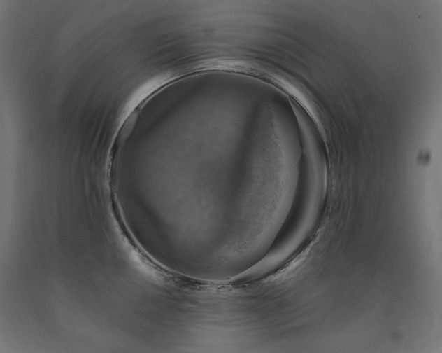 X0000091011050200708021544