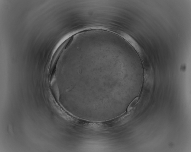 X0000091011052200708021544