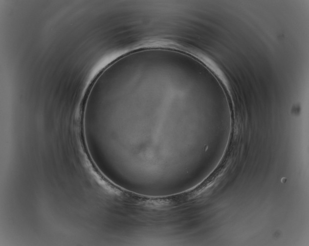 X0000091011053200708021544