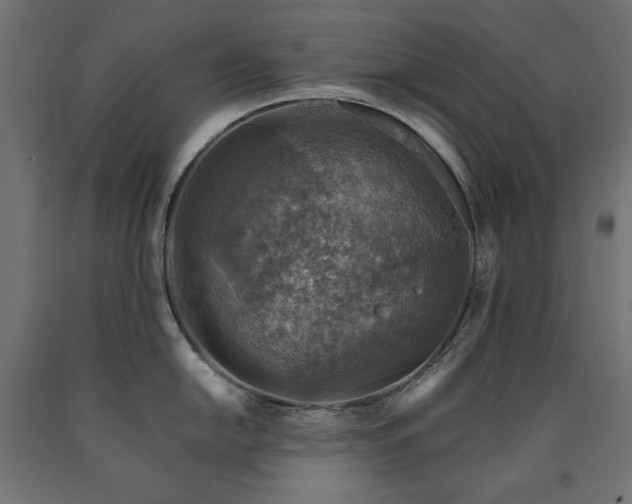 X0000091011054200708021544