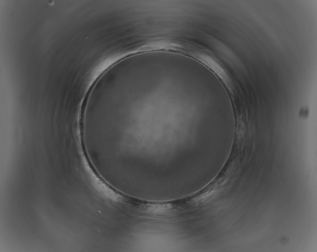 X0000091011055200708021544