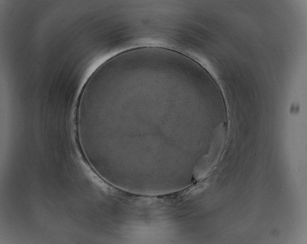 X0000091011056200708021544