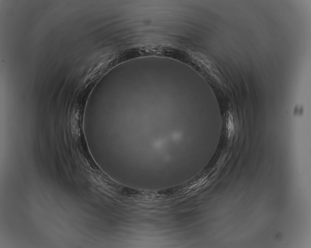 X0000091011060200708021544