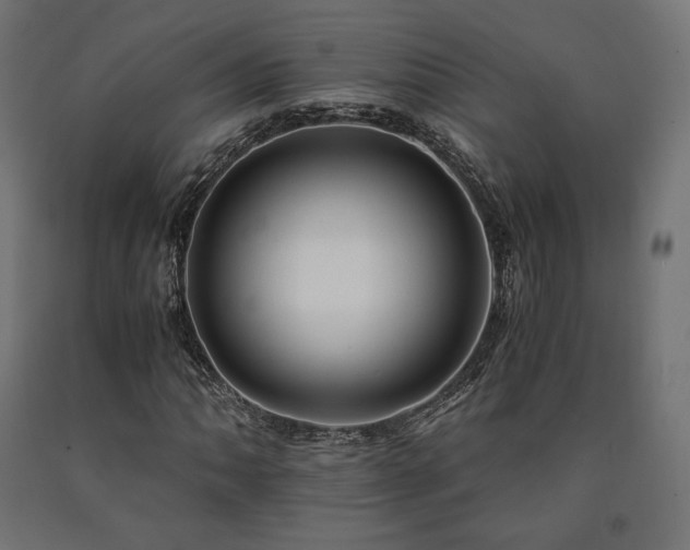 X0000091011062200708021544