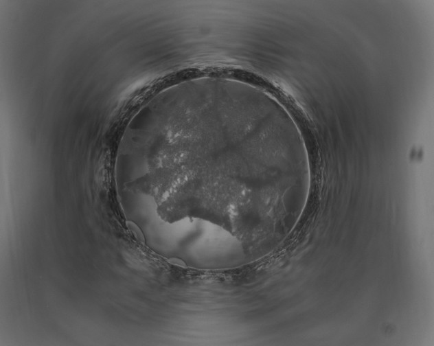 X0000091011063200708021544