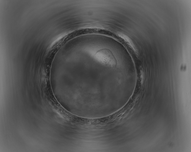 X0000091011064200708021544