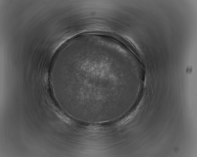 X0000091011065200708021544