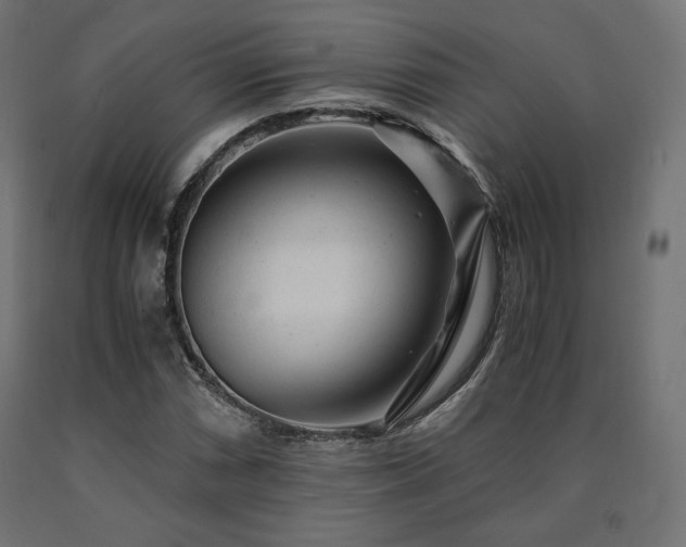 X0000091011066200708021544