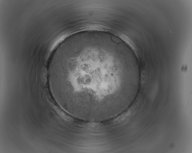 X0000091011067200708021544