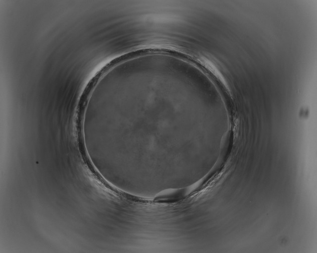 X0000091011068200708021544