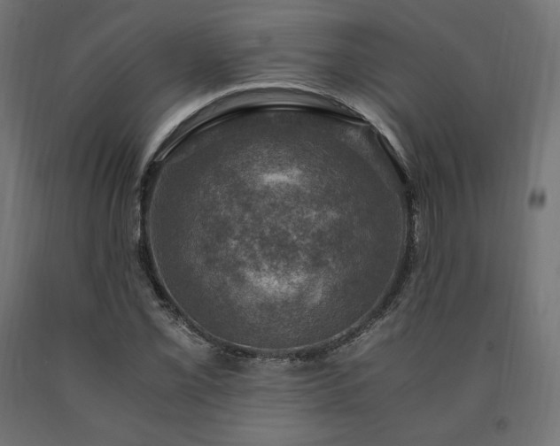 X0000091011069200708021544
