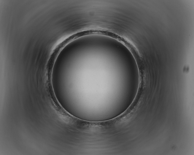 X0000091011070200708021544