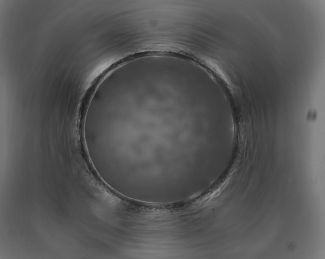 X0000091011071200708021544