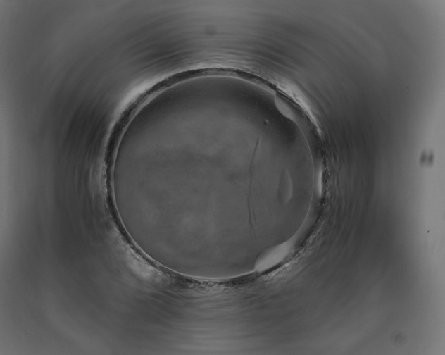 X0000091011072200708021544