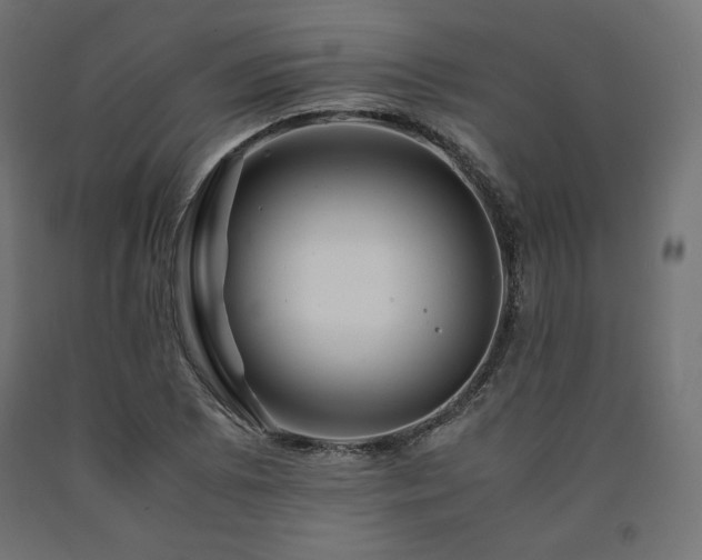 X0000091011073200708021544