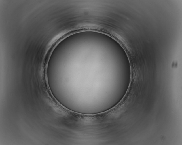 X0000091011074200708021544