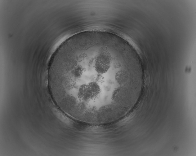 X0000091011075200708021544
