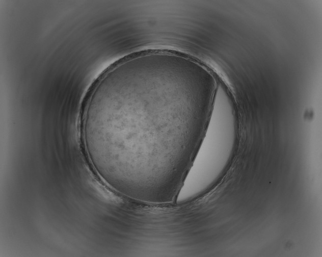 X0000091011076200708021544