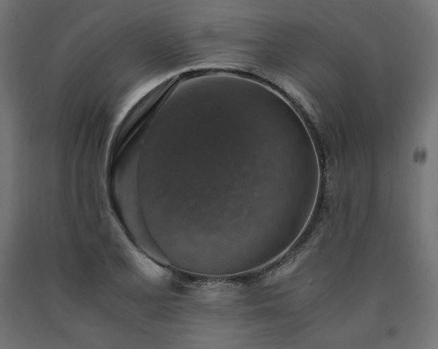 X0000091011077200708021544