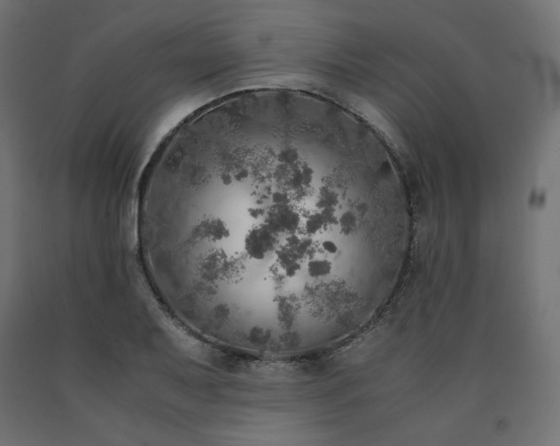 X0000091011079200708021544